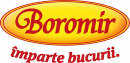 Boromir Ind SRL