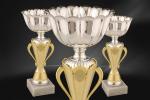 Cupe Sportive CS 01