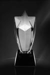 Trofee din Cristal CR 07