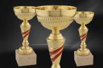 Cupe Sportive CE 14