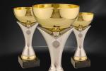 Cupe Sportive CS 02