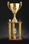 Trofee Sportive TS 101