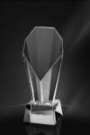 Trofee din Cristal CT 19