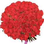 Buchet de 101 trandafiri rosii