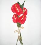 Buchet de 5 anthurium rosii