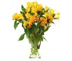 Buchet de 9 alstroemeria galbene