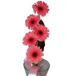 Buchet de 5 gerbera roz