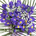 Buchet de 19 irisi mov