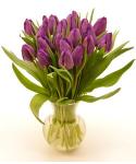 Buchet de 35 lalele mov