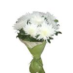 Buchet de 9 crizanteme albe