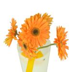 Buchet de 5 gerbera portocalii