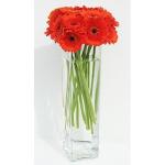 Buchet de 9 gerbera portocalii