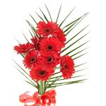 Buchet de 9 gerbera rosii