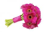 Buchet de 55 gerbera roz