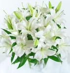 Buchet de 45 crini albi
