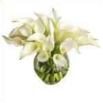 Buchet de 19 cale albe