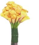 Buchet de 19 cale galbene