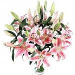 Buchet de 35 crini roz