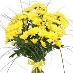 Buchet de 7 crizanteme galbene