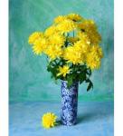 Buchet de 11 crizanteme galbene