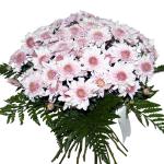Buchet de 11 crizanteme roz