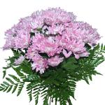 Buchet de 7 crizanteme roz