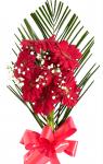 Buchet de 7 gerbera rosii