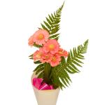 Buchet de 7 gerbera roz