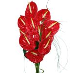 Buchet de 11 Anthurium rosii