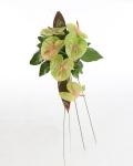 Buchet de 11 Anthurium verzi