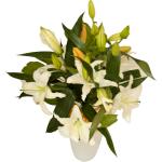 Buchet de 3 crini albi