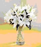 Buchet de 9 crini albi
