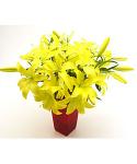 Buchet de 9 crini galbeni