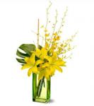 Buchet de 3 crini galbeni