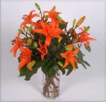 Buchet de 9 crini portocalii