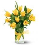 Buchet de 9  lalele galbene
