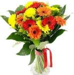 Buchet de 45 gerbera multicolore