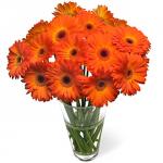 Buchet de 45 gerbera portocalii