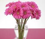 Buchet de 45 gerbera roz