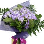 Buchet de 45 frezii mov