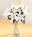 Buchet de 15 crini albi