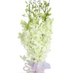 Buchet de 9 orhidee dendrobium albe