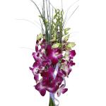 Buchet de 5 orhidee dendrobium mov