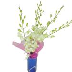 Buchet de 5 orhidee dendrobium albe