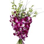 Buchet de 9 orhidee dendrobium mov