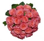 Buchet de 27 trandafiri roz