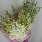 Buchet de 49 orhidee dendrobium albe