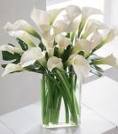 Buchet de 21 cale albe