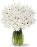 Buchet de 65 irisi albi