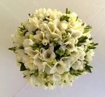 Buchet de 55 frezii albe